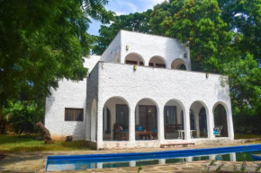 Shoreline Serenity in Malindi